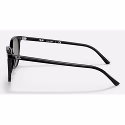 Ray-Ban ELLIOT lunettes de soleil Carré