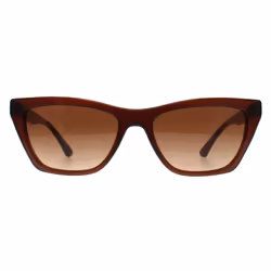 Lunettes de soleil Emporio Armani EA4169-591013