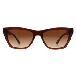 Lunettes de soleil Emporio Armani EA4169-591013