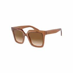 Lunettes de soleil Giorgio Armani pour Femme AR8156-593251