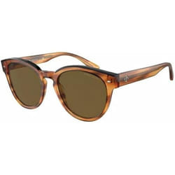 Lunettes de soleil Giorgio Armani pour Femme AR8164F-592173