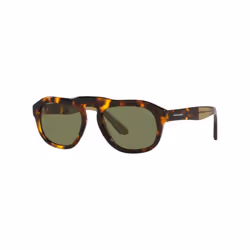Lunettes de soleil Giorgio Armani pour Homme AR8173-50922A