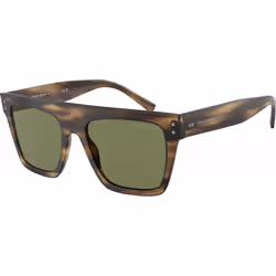 Lunettes de soleil Giorgio Armani pour Mixte AR8177-54092A