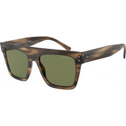 Lunettes de soleil Giorgio Armani pour Mixte AR8177-54092A