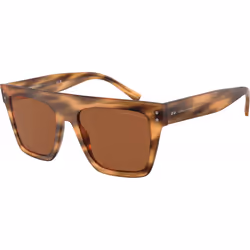 Lunettes de soleil Giorgio Armani pour Mixte AR8177-592173