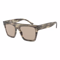 Lunettes de soleil Giorgio Armani pour Mixte AR8177-5922-3