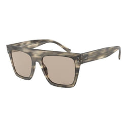 Lunettes de soleil Giorgio Armani pour Mixte AR8177-5922-3