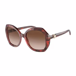 Lunettes de soleil Giorgio Armani pour Femme AR8180-600113