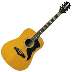 EKO Ranger Vintage Reissue VI