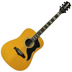 EKO Ranger VR VI Dreadnought - Vintage Natural