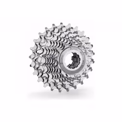 Cassette Triangle Primato Campagnolo 10 vitesses - silvert - 14/30T - Adulte - Homme