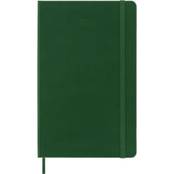 Moleskine DHK1512WN3Y25 bloc-notes Vert