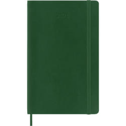 Moleskine DSK1512WN3Y25 bloc-notes Vert