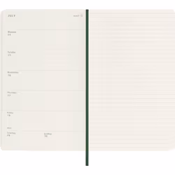 Moleskine DSK1512WN3Y25 bloc-notes Vert