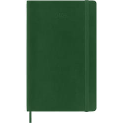 Moleskine DSK1512DC3Y25 bloc-notes Vert