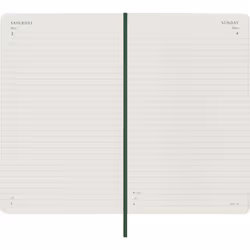 Moleskine DSK1512DC3Y25 bloc-notes Vert