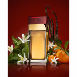 Dolce&Gabbana Pour Femme 100ml Femmes - Vue supplémentaire 4