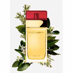 Dolce&Gabbana Pour Femme 100ml Femmes - Vue supplémentaire 5