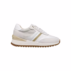 Basket Basse Geox Cuir Desya Nappa+Suede