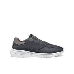 Baskets Geox Klaiver A