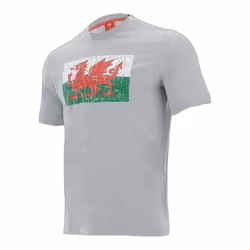 T-shirt coton Pays de Galles Rugby XV 2020/21
