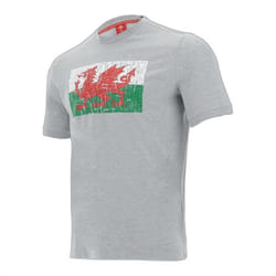 T-shirt coton Pays de Galles Rugby XV 2020/21