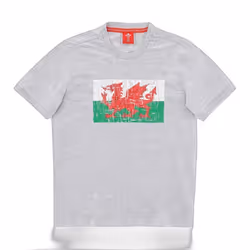 T-shirt enfant Pays de Galles Rugby XV 2020/21