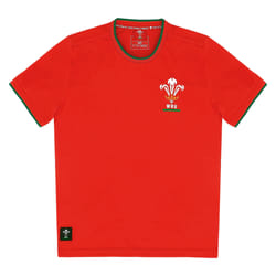 Maillot enfant Pays de Galles Ca Groc