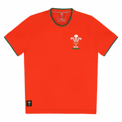 Maillot enfant Pays de Galles Ca Groc