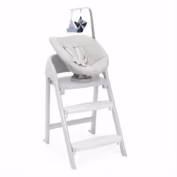 Chicco Crescendo Recliner Chaise berçante pour bébé Gris
