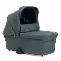 CHICCO - Nacelle Flexi Fir Tree