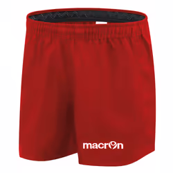 Short Macron hylas