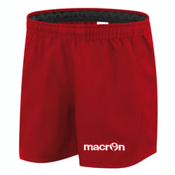 Short Macron hylas