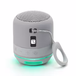 Techly ICASBL94GR, 5,2 cm, 5 W, 120 - 20000 Hz, 4 Ohm, 90 dB, Avec fil &sans fil