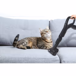Hoover H-POWER 700 HP730ALG 011 2 L Aspirateur sans sac Sec&humide 850 W Sans sac - Vue supplémentaire 6