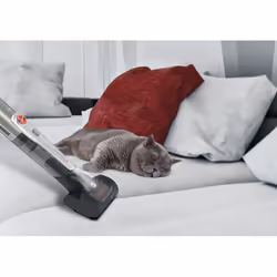 Hoover H-HANDY 700 PETS HH710PPT 011 aspirateur de table Platine - Vue supplémentaire 19