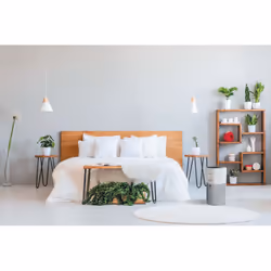 Hoover H-PURIFIER 300 HHP30C011 100 m² Blanc - Vue supplémentaire 7