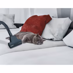 Hoover Breeze BR40PET 011 2 L Aspirateur réservoir cylindrique Sec 700 W Sans sac - Vue supplémentaire 7