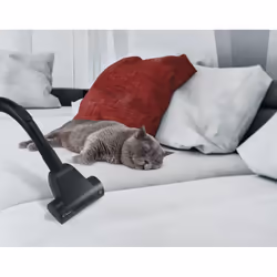Candy All Floors 30 CAF37HC 011 2,5 L Aspirateur réservoir cylindrique Sec 800 W Sans sac - Vue supplémentaire 6