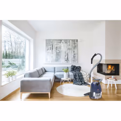 Hoover Brave BV60PET 011 2,5 L Aspirateur réservoir cylindrique Sec 700 W Sac à poussière - Vue supplémentaire 9