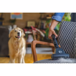 Hoover H-ENERGY 700 HE720PET 011 5 L Aspirateur réservoir cylindrique Sec 850 W Sac à poussière - Vue supplémentaire 40