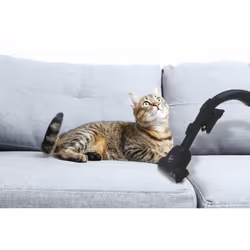 Hoover H-ENERGY 700 HE720PET 011 5 L Aspirateur réservoir cylindrique Sec 850 W Sac à poussière - Vue supplémentaire 8