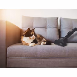 Hoover H-ENERGY 500 HE520PET 011 3,5 L Aspirateur réservoir cylindrique Sec 700 W Sac à poussière - Vue supplémentaire 22