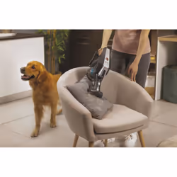 Hoover H-FREE 300 HF322TP 011 aspirateur de table Gris Sans sac - Vue supplémentaire 57