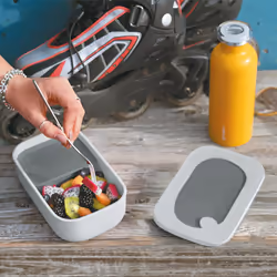 Haier HAGSG4080 Boîte de rangement alimentaire Gris 1 pièce(s)