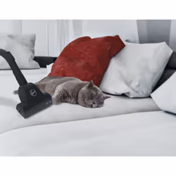 Hoover H-POWER 300 HP322PET 011 2 L Aspirateur réservoir cylindrique Sec 850 W Sans sac - Vue supplémentaire 9