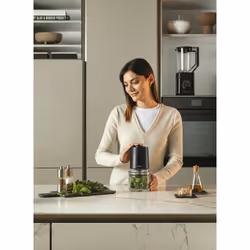 Haier 38700001 hachoir électrique 0,5 L 550 W Noir - Vue supplémentaire 15