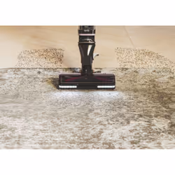 Hoover HFX10P 011 Batterie Sec EPA Sans sac 1,2 L 365 W Noir 4 Ah - Vue supplémentaire 51