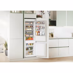 Candy Fresco CBT3518EW Intégré 248 L E Blanc - Vue supplémentaire 9