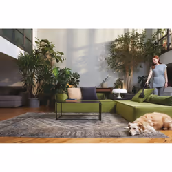 Hoover HP120PET 011 2 L Aspirateur réservoir cylindrique Sec 700 W Sans sac
